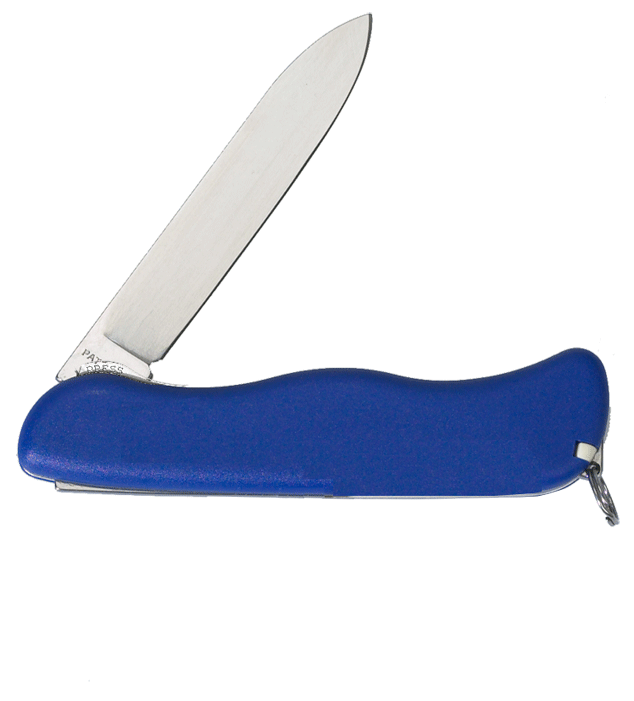 Victorinox - Couteau de poche à cran d'arrêt - 1 lame - n°2 - Bugnard.ch