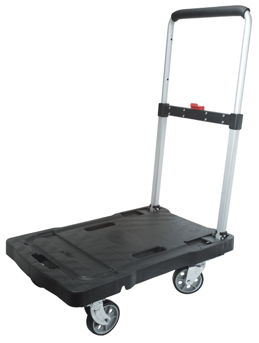 Chariot plateforme - n°1 - EAN 7611064004021 - Bugnard.ch