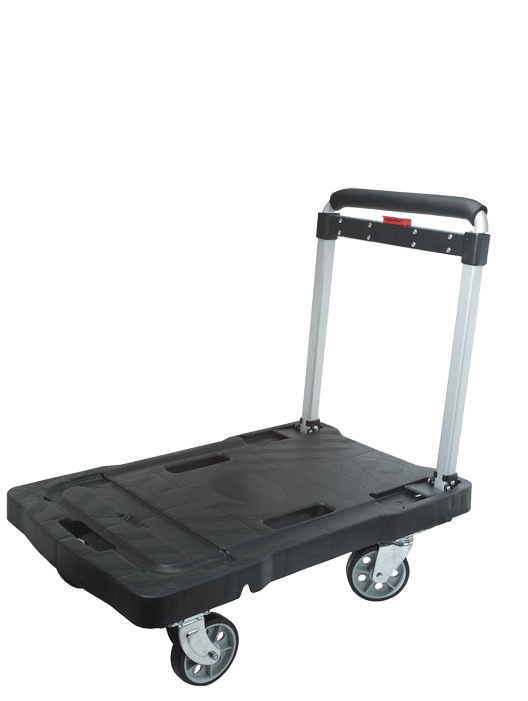 Chariot plateforme - n°2 - EAN 7611064004021 - Bugnard.ch